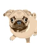 Moke Dog
