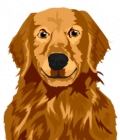 Winston