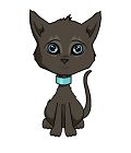 Kit Cat