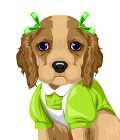 Cocker Spaniel