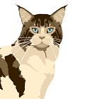 Mainecoon