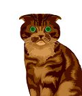 Scottishfold