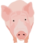 Wilbur