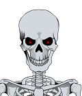 Skeleton