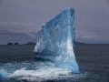 iceberg