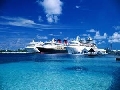 Cruise Ships