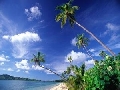 Paradise