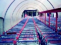 Shopping