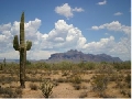 Desert 2