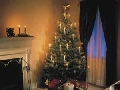 Xmas Tree
