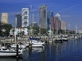 Tampa