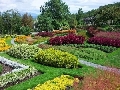 Nature landscape
