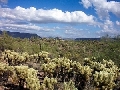 Desert 4